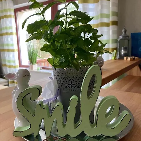 Apartment Adlerhorst *