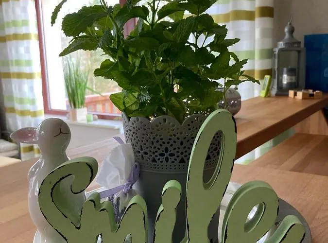 Апартаменты Adlerhorst *